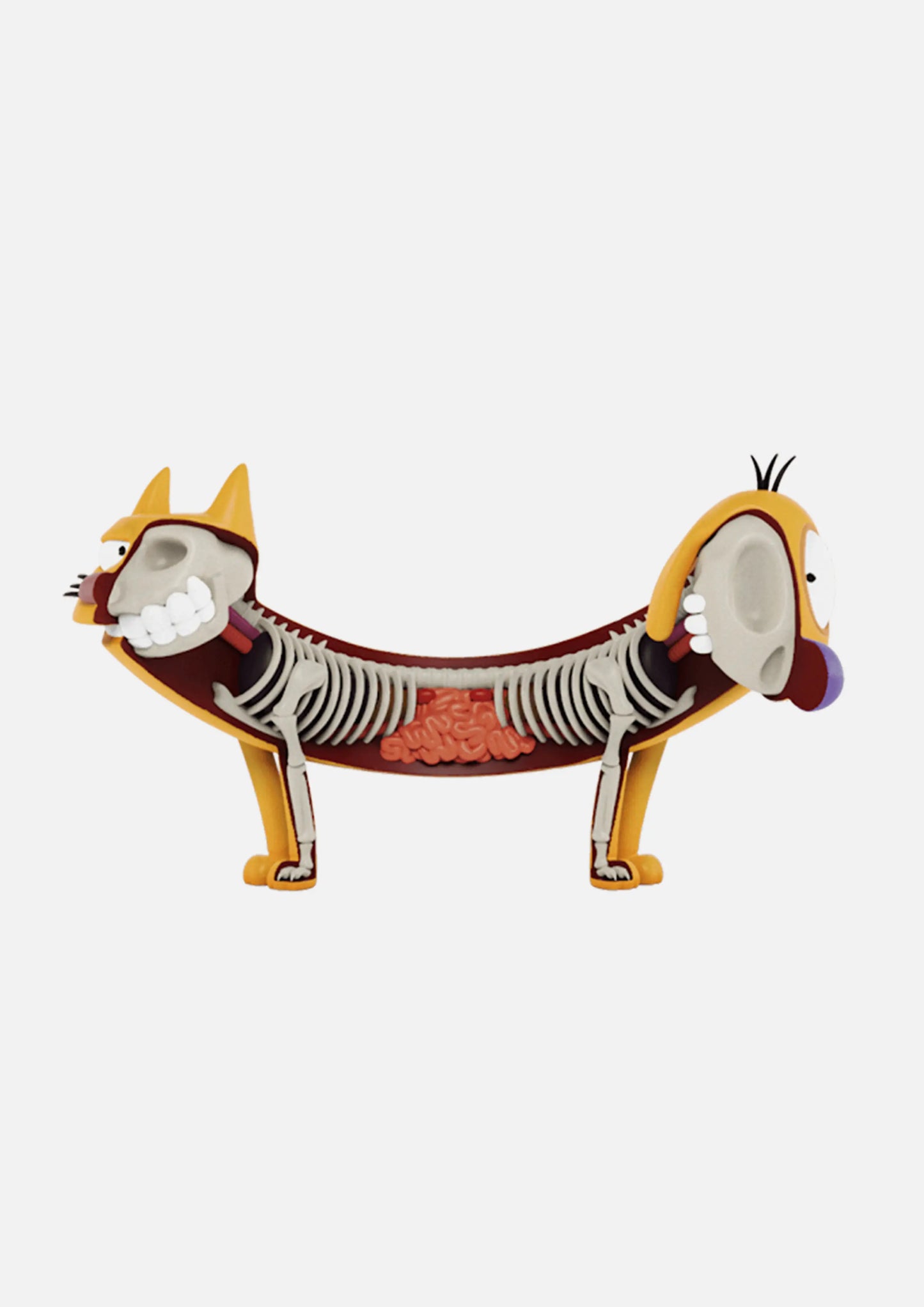 Catdog (Nickelodeon) XXRAY Plus by Jason Freeny OKO MAISON